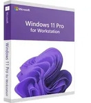 Windows 11 Pro for Workstation