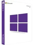 Windows 10 Pro 64-bit (EN)