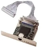 Zebra Printserver, intern, 79823
