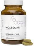 MoleQlar Berbersome (Berberin)