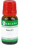 Uzara LM 1