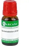 Rhus toxicodendron LM 24