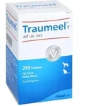 Traumeel T ad us.vet. Tabletten