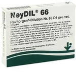 Neydil 66 Revit 66 D4 Vet