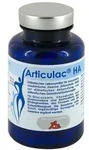 Articulac HA