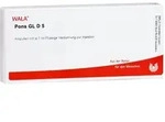 Pons Gl D 5
