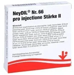 Neydil Nr.66 pro injectione St.2 Ampullen