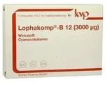 Lophakomp-B12 3000
