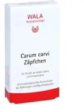 Carum carvi Z&auml;pfchen
