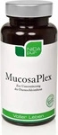 PZN-DE 05119579, NICApur Micronutrition Nicapur MucosaPlex Kapseln 60 St&uuml;ck,