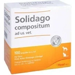 Solidago Comp Ad Us Vet