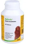 Befedo MinVit Hunde vet