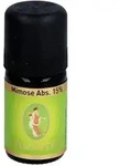 Mimose Absolue 15%