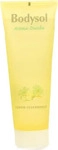 PZN-DE 09001366, Perrigo Bodysol A Dusche Lemo-zed 250 ml, Grundpreis: &euro; 50,76 /