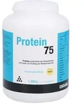 Protein 75 Vanille