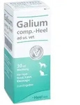 Galium COMP.-Heel ad us.vet. Tropfen