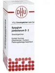 Syzygium Jambolanum D 2