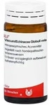 VISCUM ECHINACEA Globuli