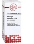 Solidago Virgaurea C 30