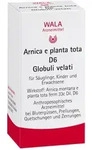 Arnica E Planta tota D 6