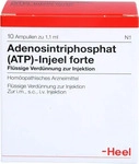 PZN-DE 01813478, Biologische Heilmittel Heel Adenosintriphosphat (ATP)-Injeel forte