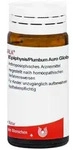 Epiphysis/plumbum