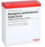 Syzygium Jambolanum Injeel forte Ampullen