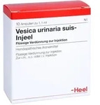 Vesica Urinaria suis-Injeel Ampullen