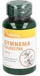Gymnema Sylvestre 400mg