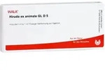 Hirudo Ex animale Gl D 5 Ampullen