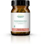 Pinienrindenextrakt