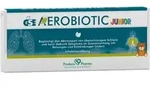 Gse Aerobiotic Junior Einm.Amp.f.Vern.Inhal.-Lsg.