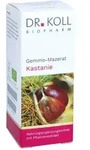 Gemmo Mazerat Kastanie Dr. Koll Castanea vesca Tro.
