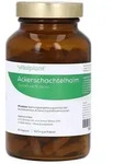 Ackerschachtelhalm 500MG Extrakt Vitalplant