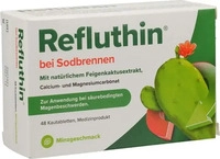 PZN-DE 16011365, Dr. Willmar Schwabe Refluthin bei Sodbrennen Kautabletten Minze 48