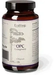 OPC Pycnogenol&reg; - 60 Kapseln