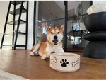 Ritzenhoff & Breker Mika Dog Futternapf &oslash; 18,5 cm 2er Set