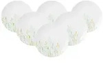 Seltmann Weiden Liberty Meadow Grasses Brotteller &oslash; 17,5 cm 6er Set