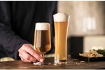 Schott Zwiesel BEER BASIC Pilsglas 0,3 l 4er Set