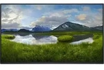 DELL P2425HE WOST (ohne Standfu&szlig;), 23.81"