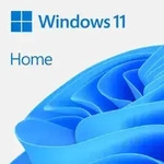 MICROSOFT: Windows 11 Home 64Bit, DSP/SB, USB-Stick (deutsch) (PC)