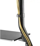 NEOMOUNTS BY NEWSTAR Mobile Flat Screen Floor Stand (stand+trolley)