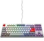 CHERRY Xtrfy K4V2 TKL, Retro, grau, LEDs RGB, MX2A RGB RED, USB, US