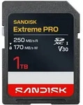 SANDISK Extreme PRO R250/W170 1TB, UHS-I, Class 10