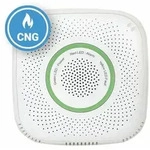 SHELLY GAS CNG WLAN Gassensor Steckdose Erdgas