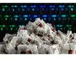GLORIOUS PC GAMING RACE Gateron Brown Switches (120 St&uuml;ck)