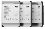 SYNOLOGY 3.5" SAS HDD HAS5300 f&uuml;r Synology-Systeme 12TB