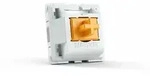 GLORIOUS PC Gaming Race Panda Switches, lubed - 36 St&uuml;ck
