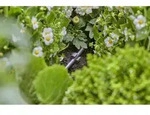 GARDENA Micro-Drip-System Rohrhalter, (3/16") - Inhalt: 10 St&uuml;ck