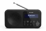 SHARP Digitalradio DR-P420 schwarz